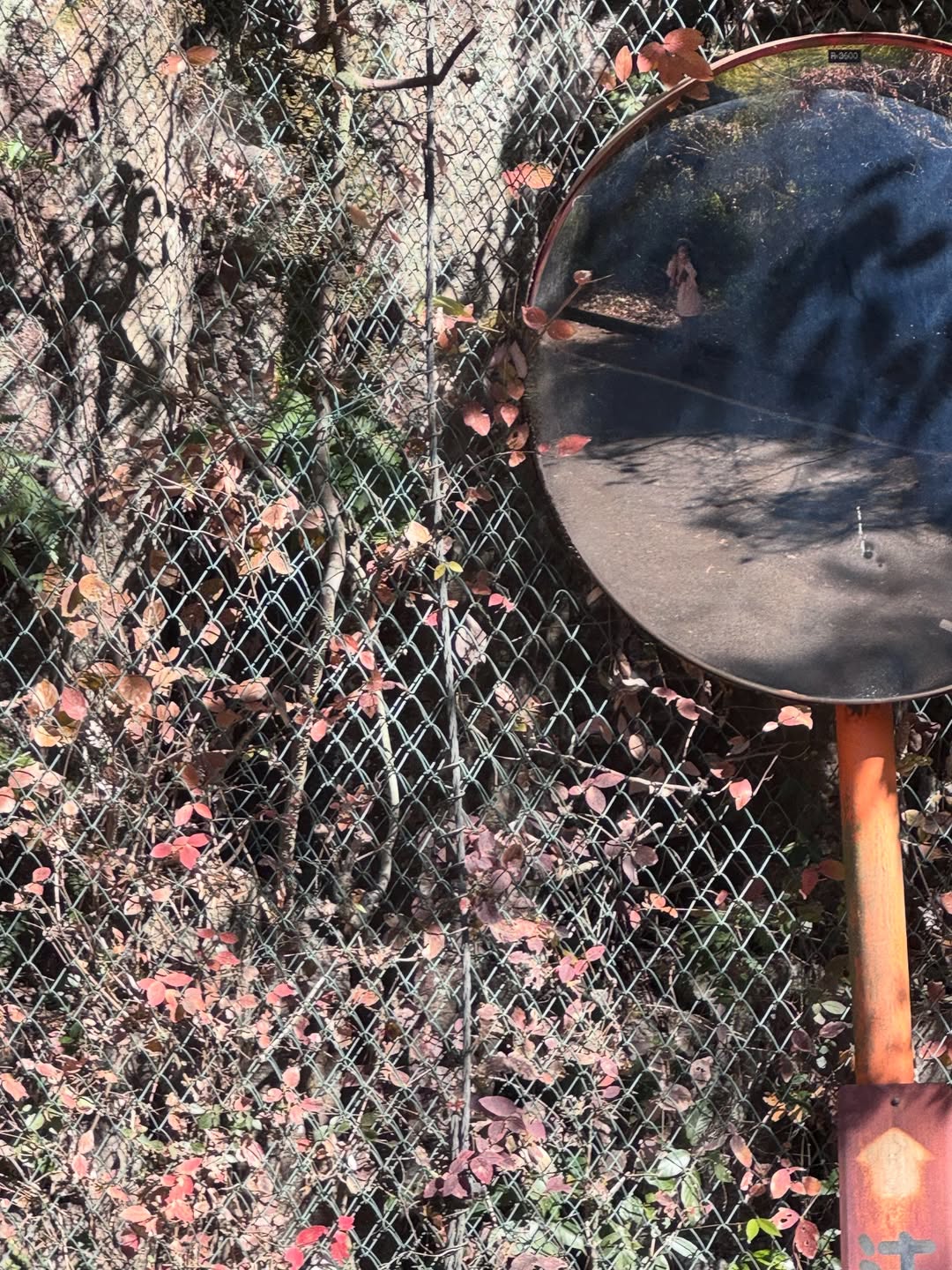 เซียงเซียง - พรสรวง รวยรื่น