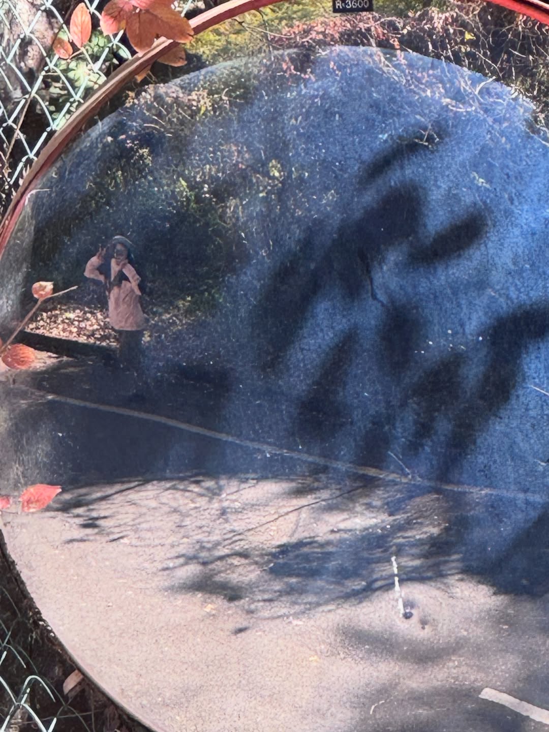 เซียงเซียง - พรสรวง รวยรื่น