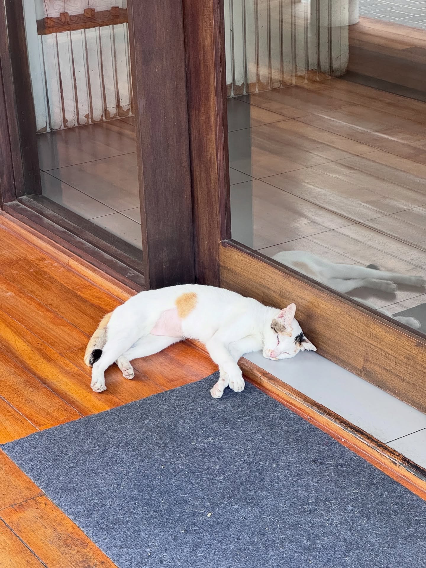 เซียงเซียง - พรสรวง รวยรื่น