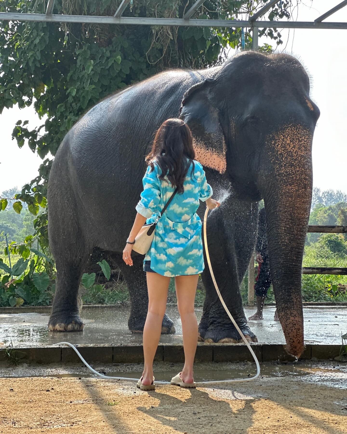 แก้มบุ๋ม - ปรียาดา สิทธาไชย