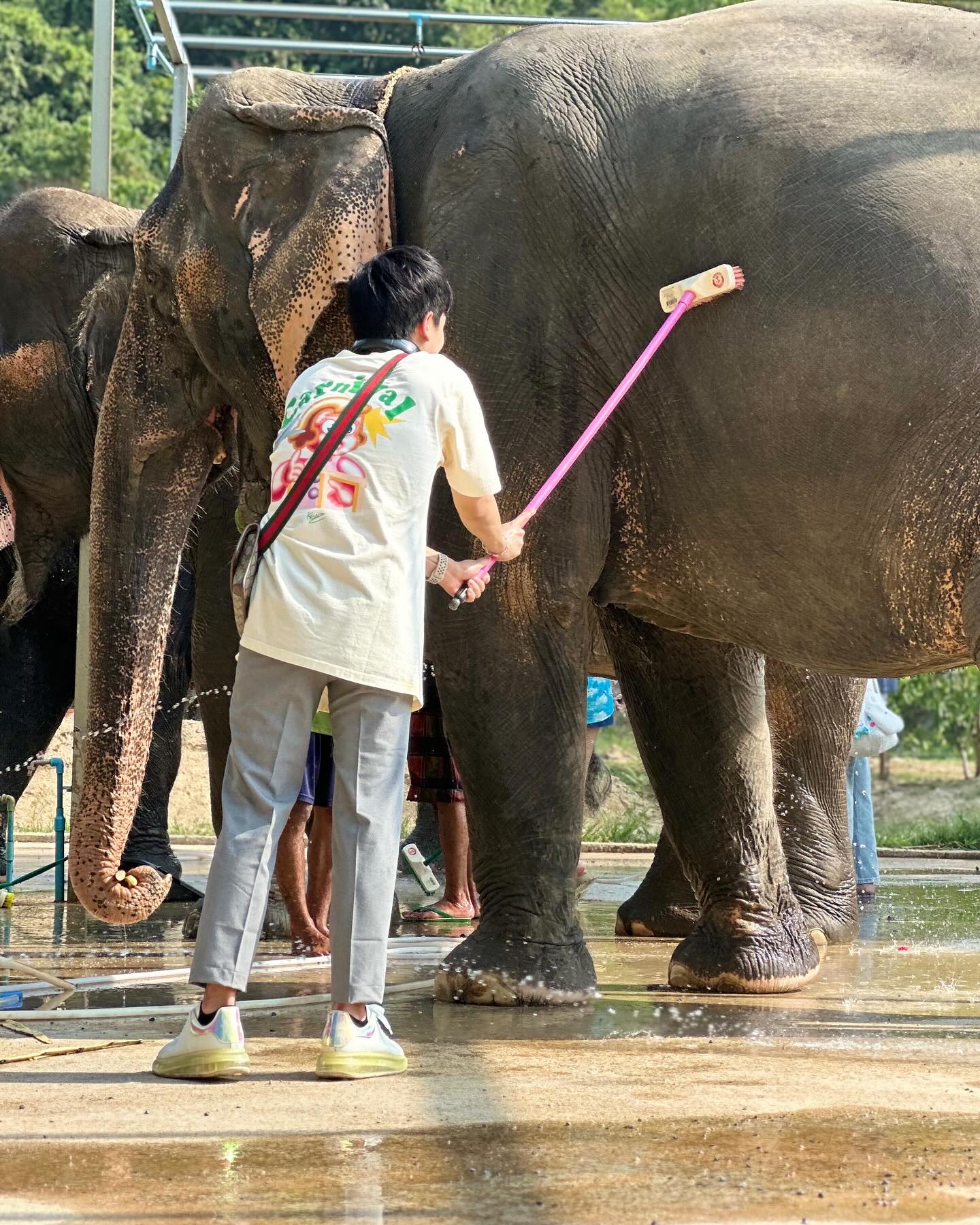 แก้มบุ๋ม - ปรียาดา สิทธาไชย
