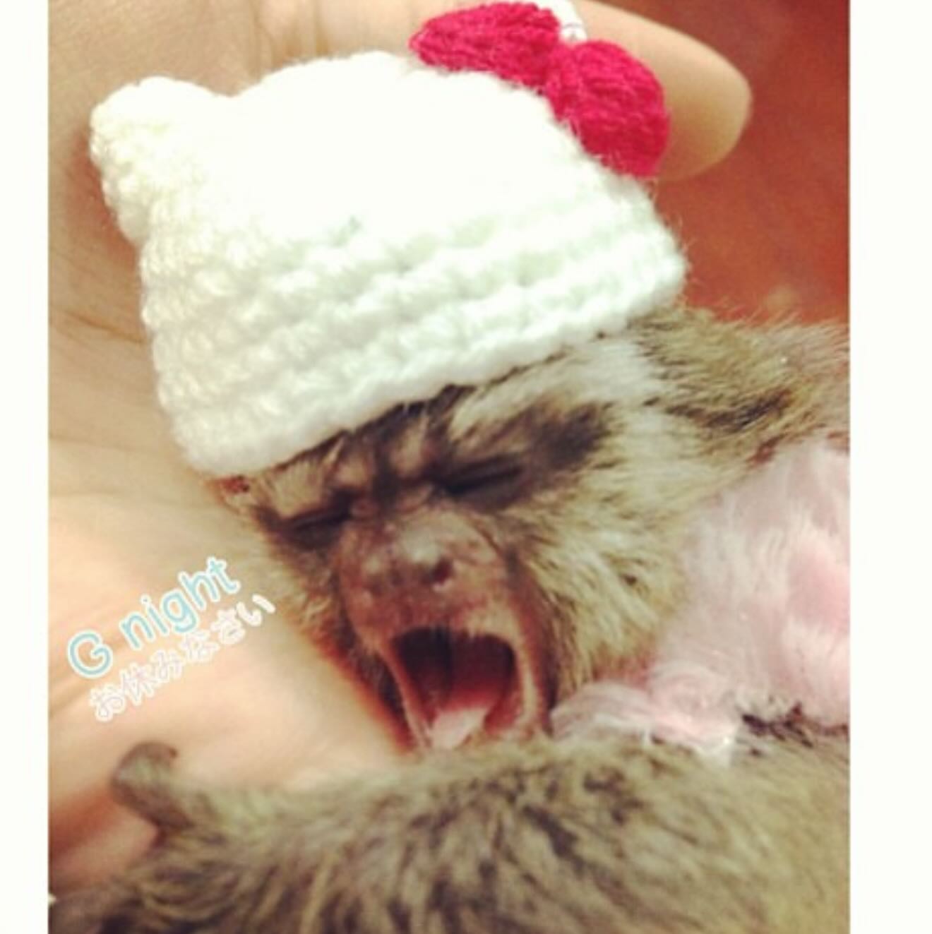 แก้มบุ๋ม - ปรียาดา สิทธาไชย