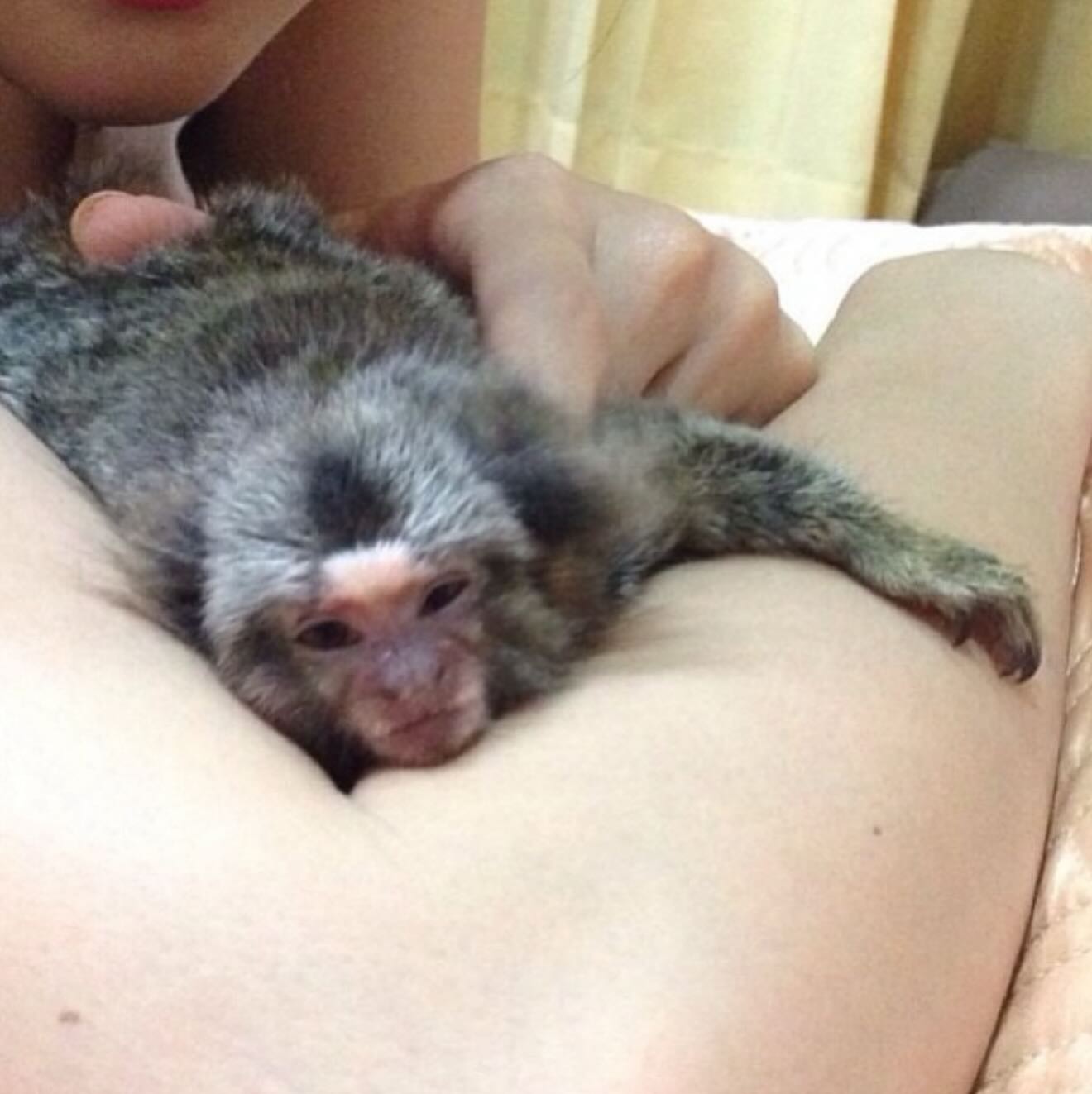 แก้มบุ๋ม - ปรียาดา สิทธาไชย