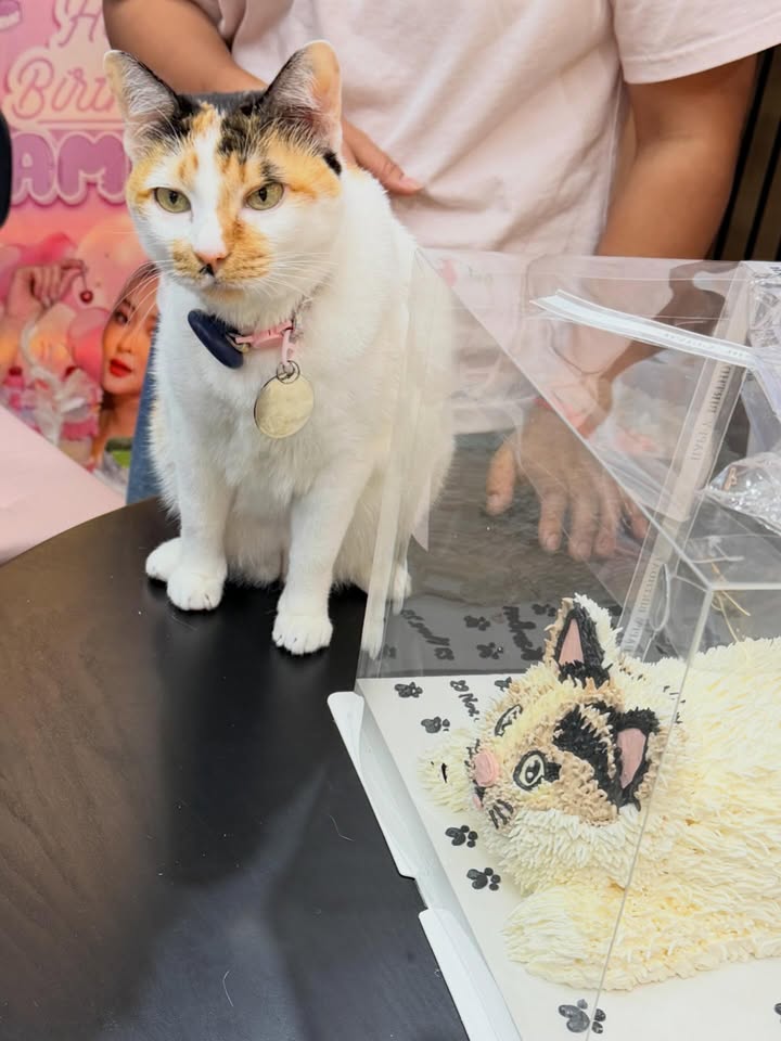 แก้มบุ๋ม - ปรียาดา สิทธาไชย