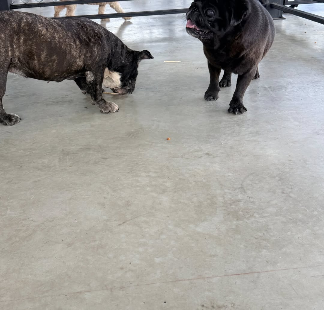 แก้มบุ๋ม - ปรียาดา สิทธาไชย