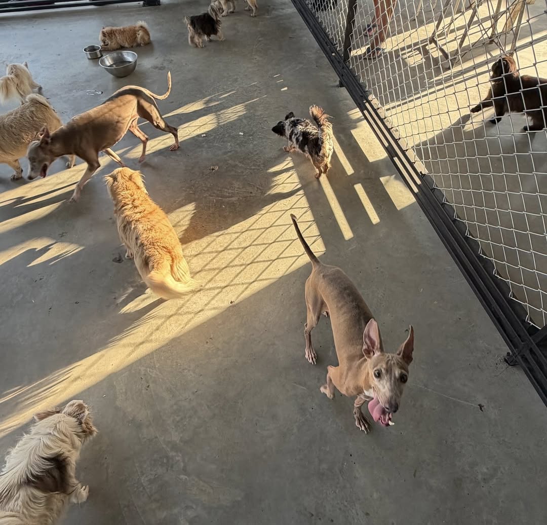 แก้มบุ๋ม - ปรียาดา สิทธาไชย