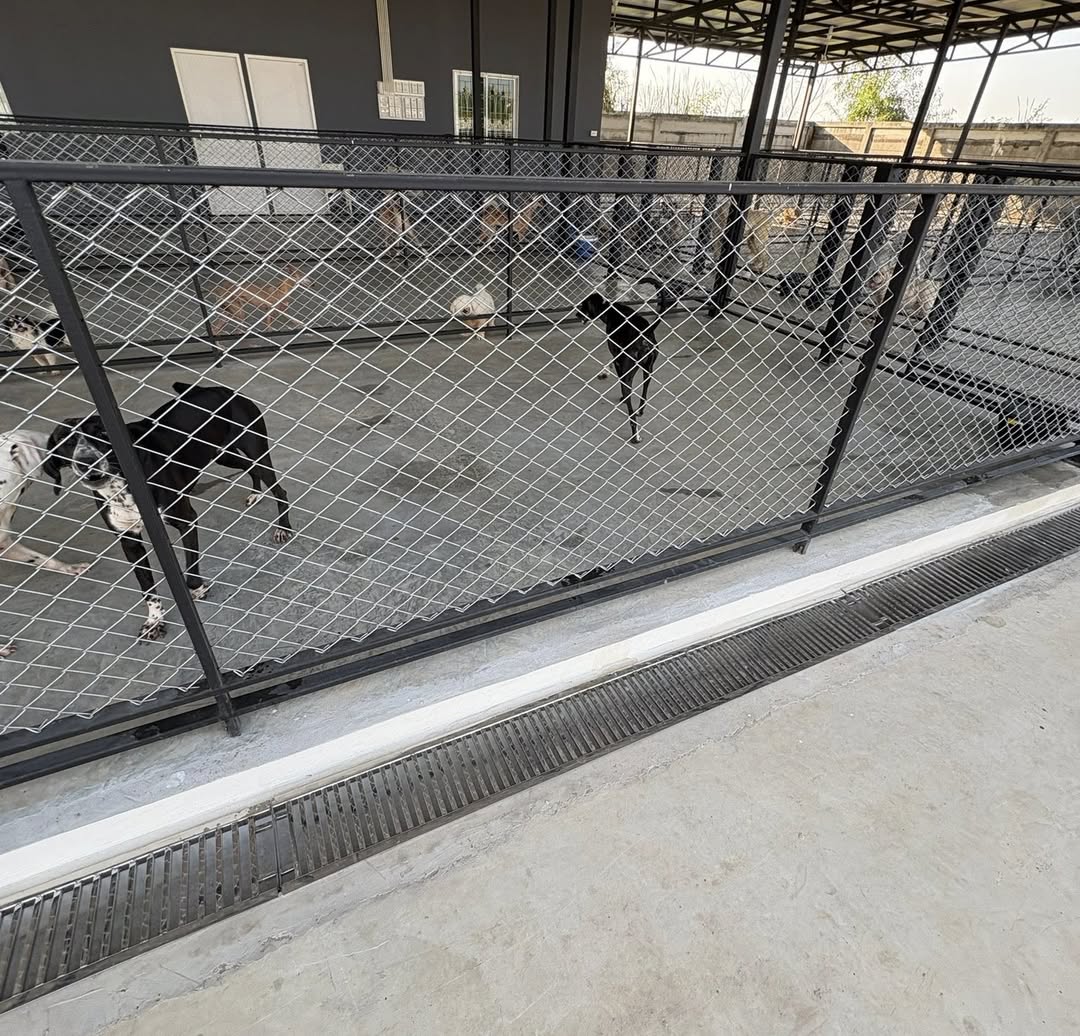 แก้มบุ๋ม - ปรียาดา สิทธาไชย