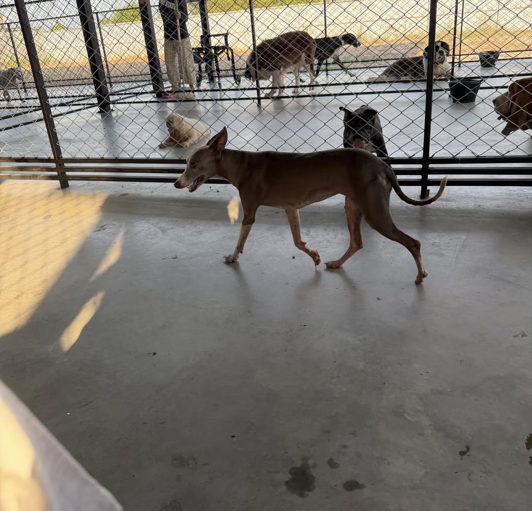 แก้มบุ๋ม - ปรียาดา สิทธาไชย