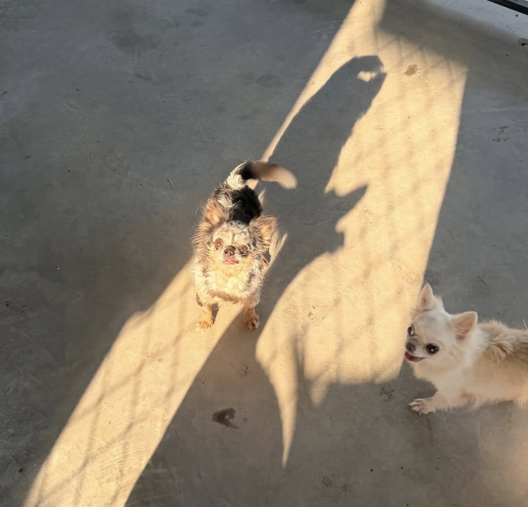 แก้มบุ๋ม - ปรียาดา สิทธาไชย