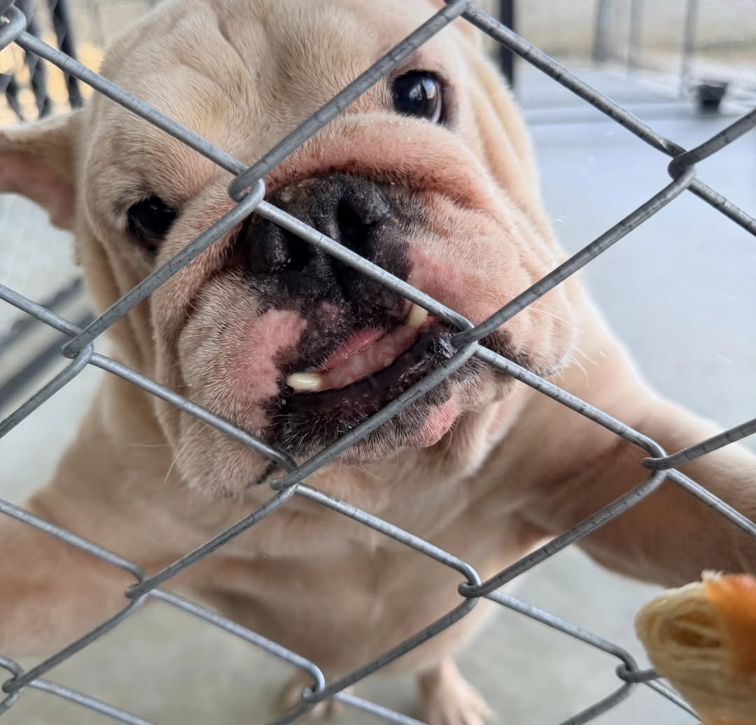 แก้มบุ๋ม - ปรียาดา สิทธาไชย