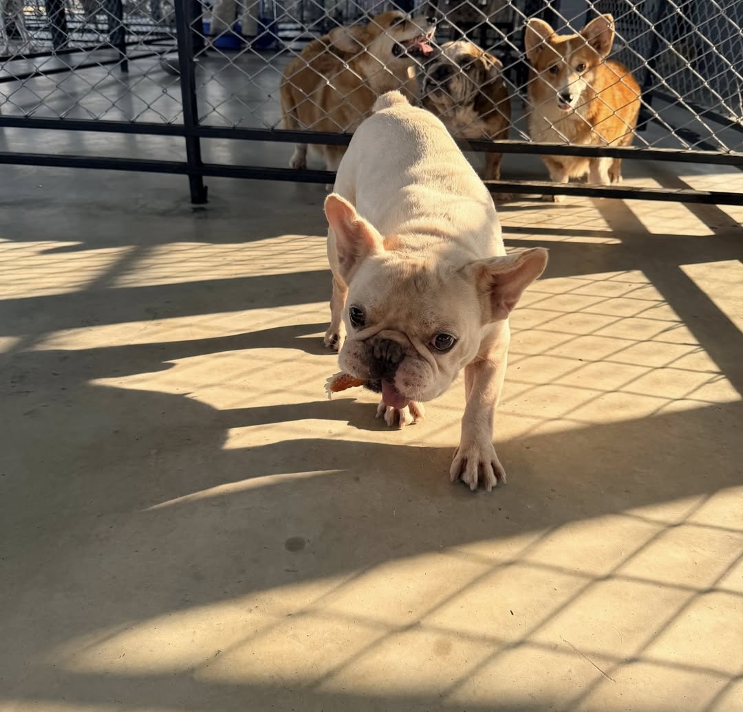 แก้มบุ๋ม - ปรียาดา สิทธาไชย