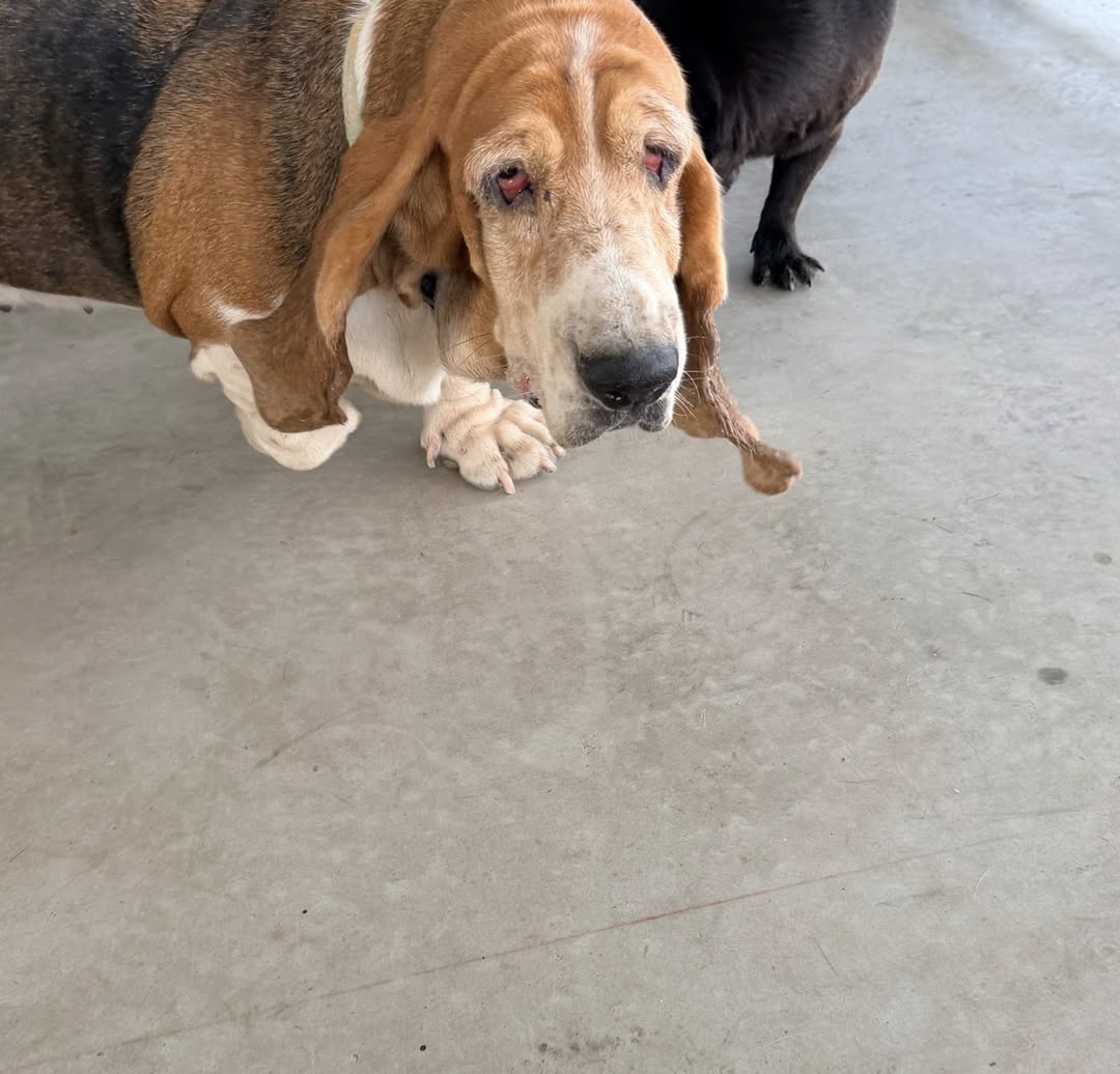 แก้มบุ๋ม - ปรียาดา สิทธาไชย