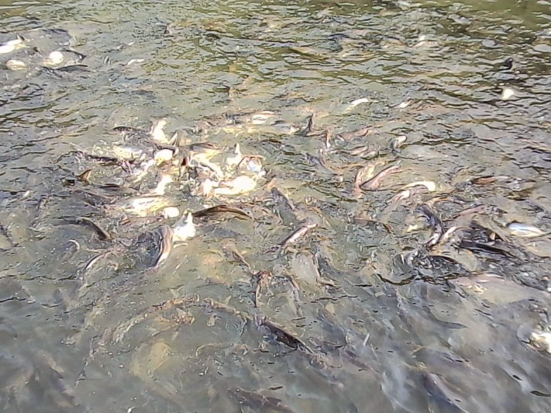 แก้มบุ๋ม - ปรียาดา สิทธาไชย