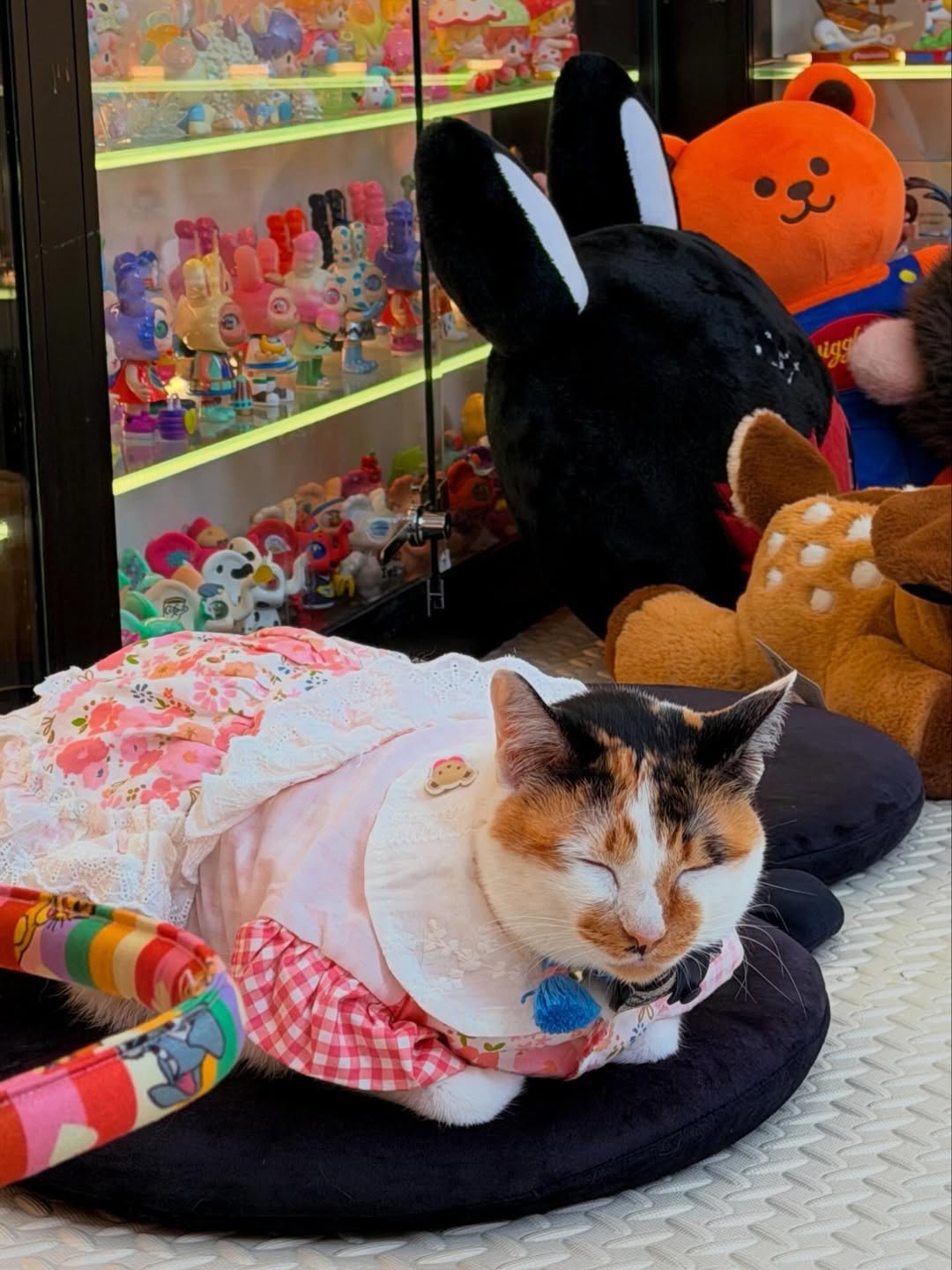 แก้มบุ๋ม - ปรียาดา สิทธาไชย