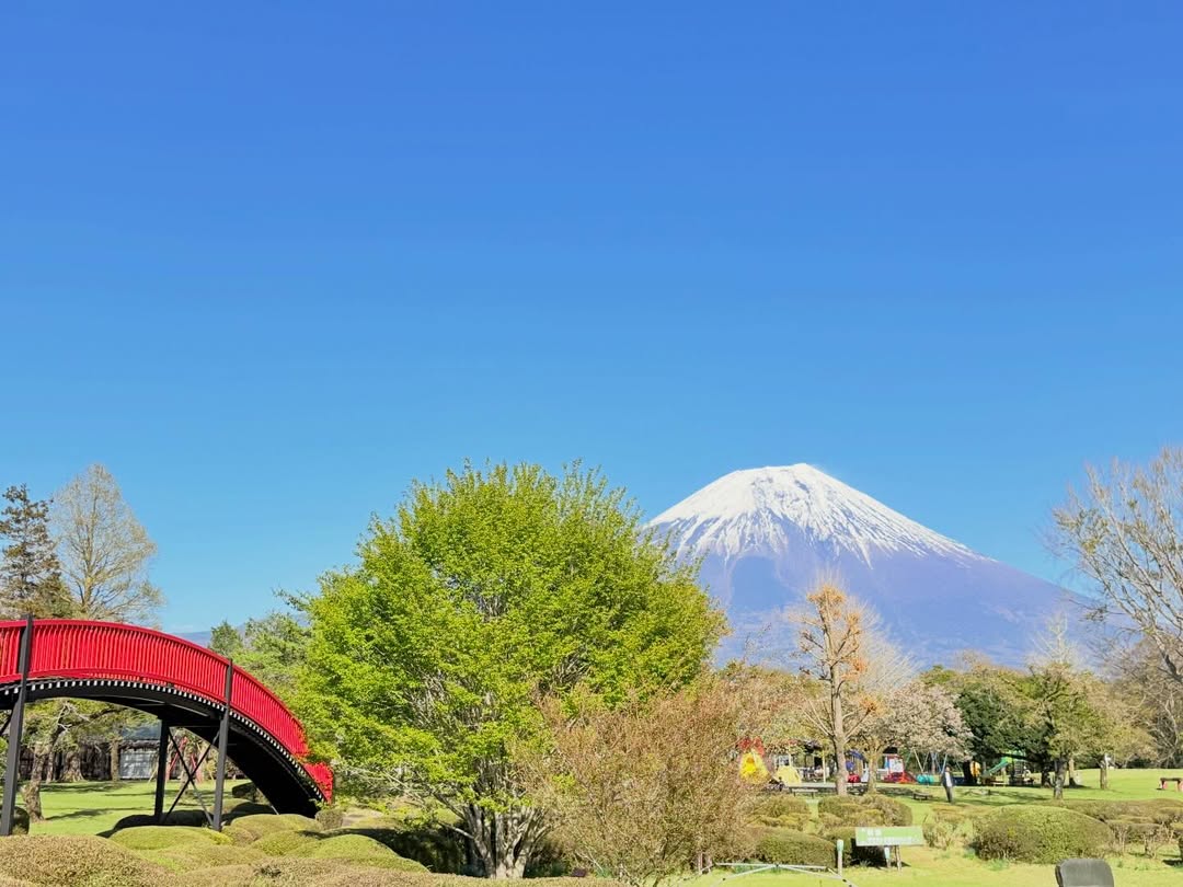 แก้มบุ๋ม - ปรียาดา สิทธาไชย