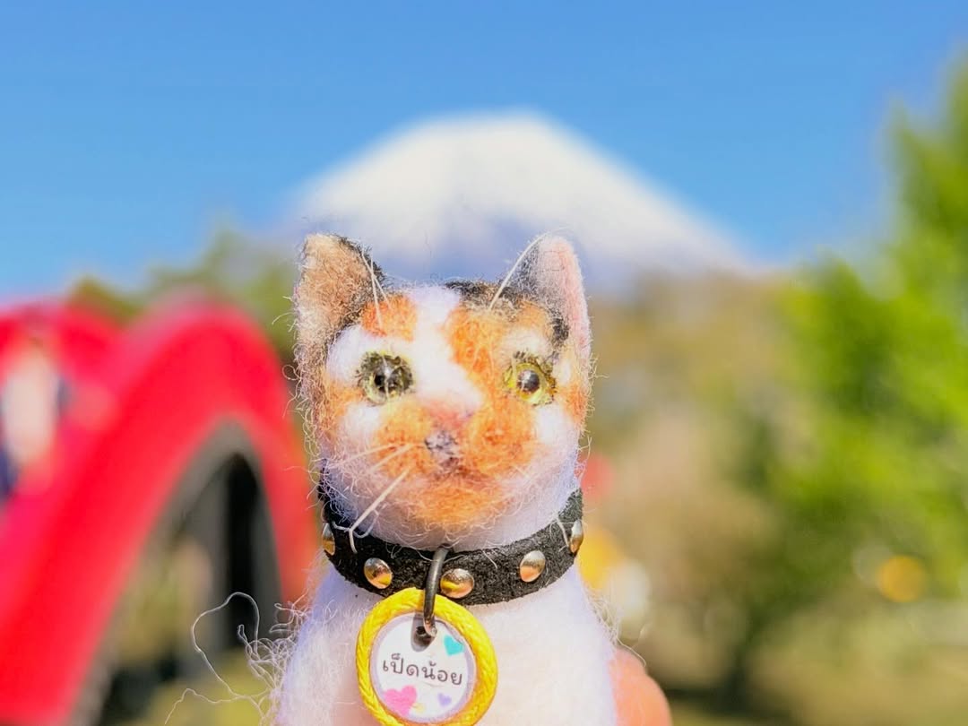 แก้มบุ๋ม - ปรียาดา สิทธาไชย