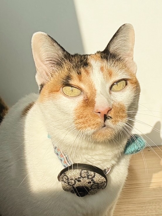 แก้มบุ๋ม - ปรียาดา สิทธาไชย