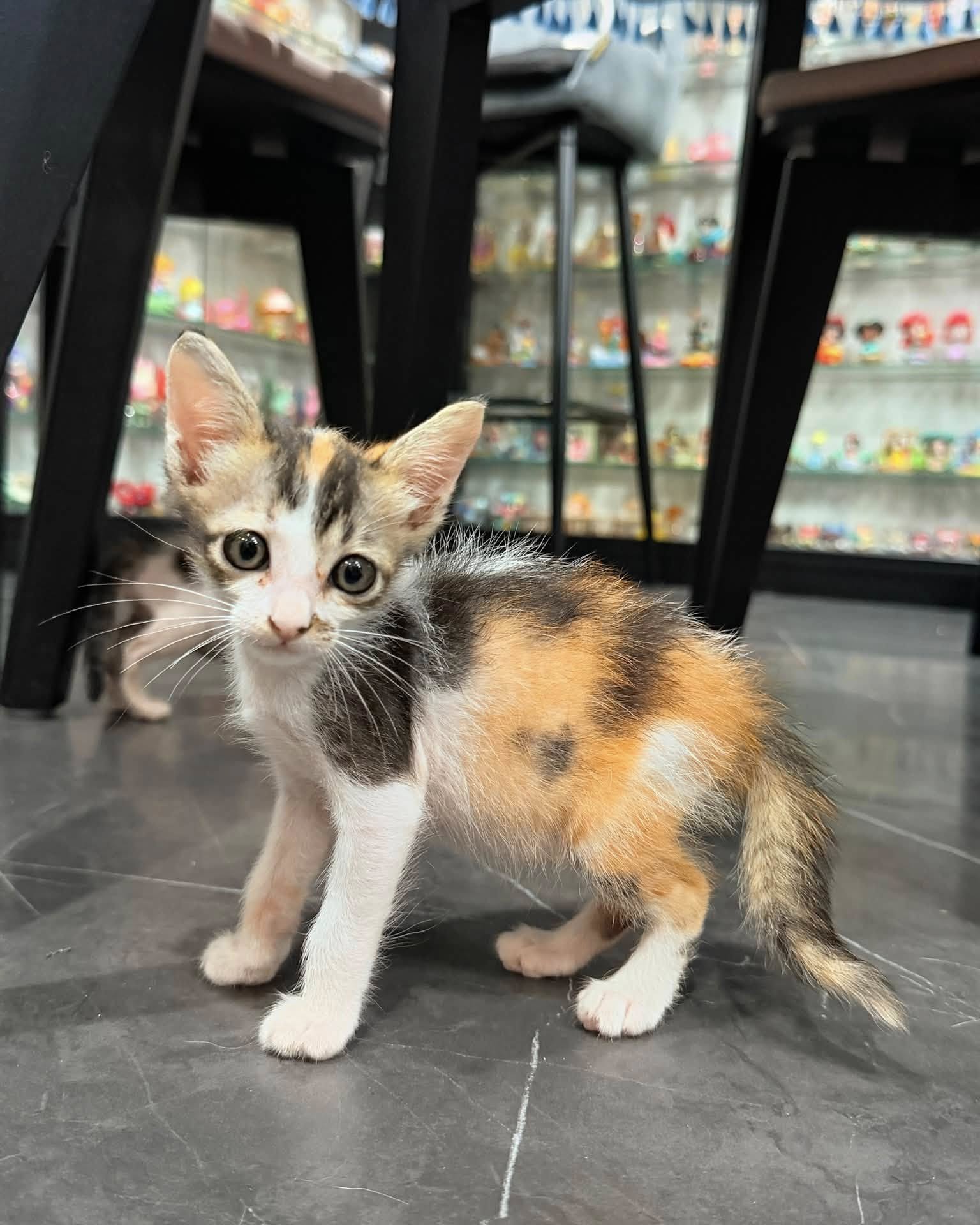 แก้มบุ๋ม - ปรียาดา สิทธาไชย