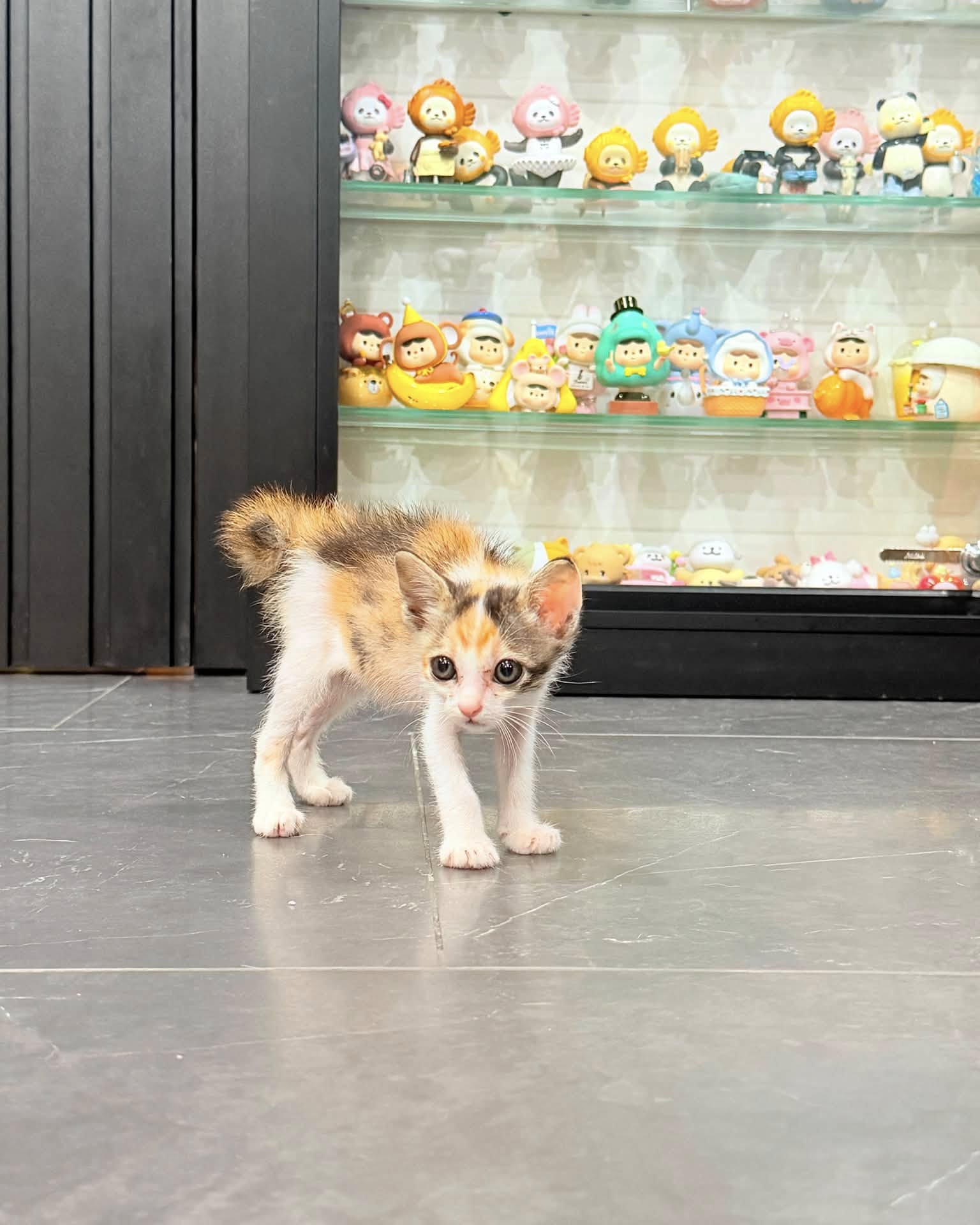 แก้มบุ๋ม - ปรียาดา สิทธาไชย