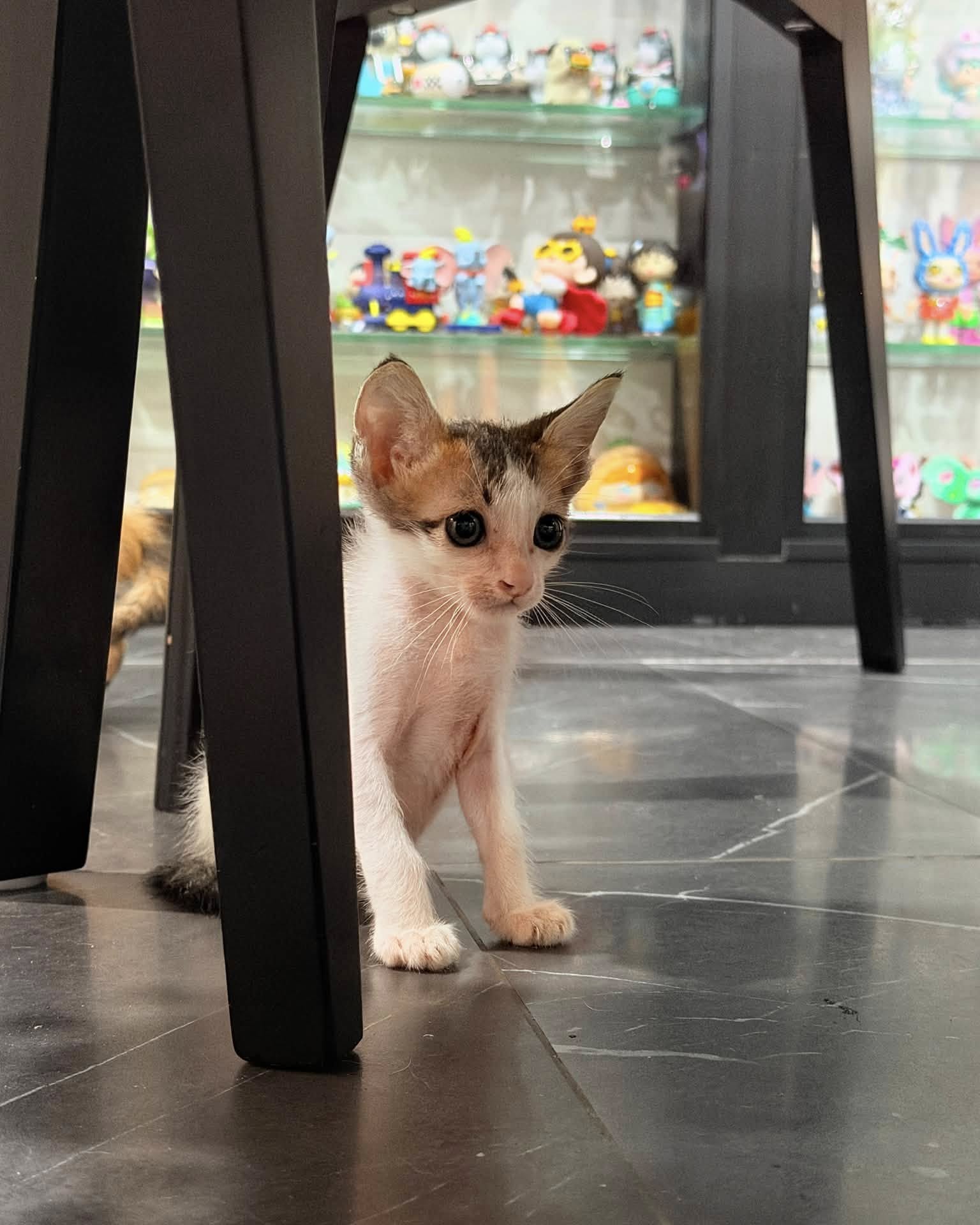 แก้มบุ๋ม - ปรียาดา สิทธาไชย