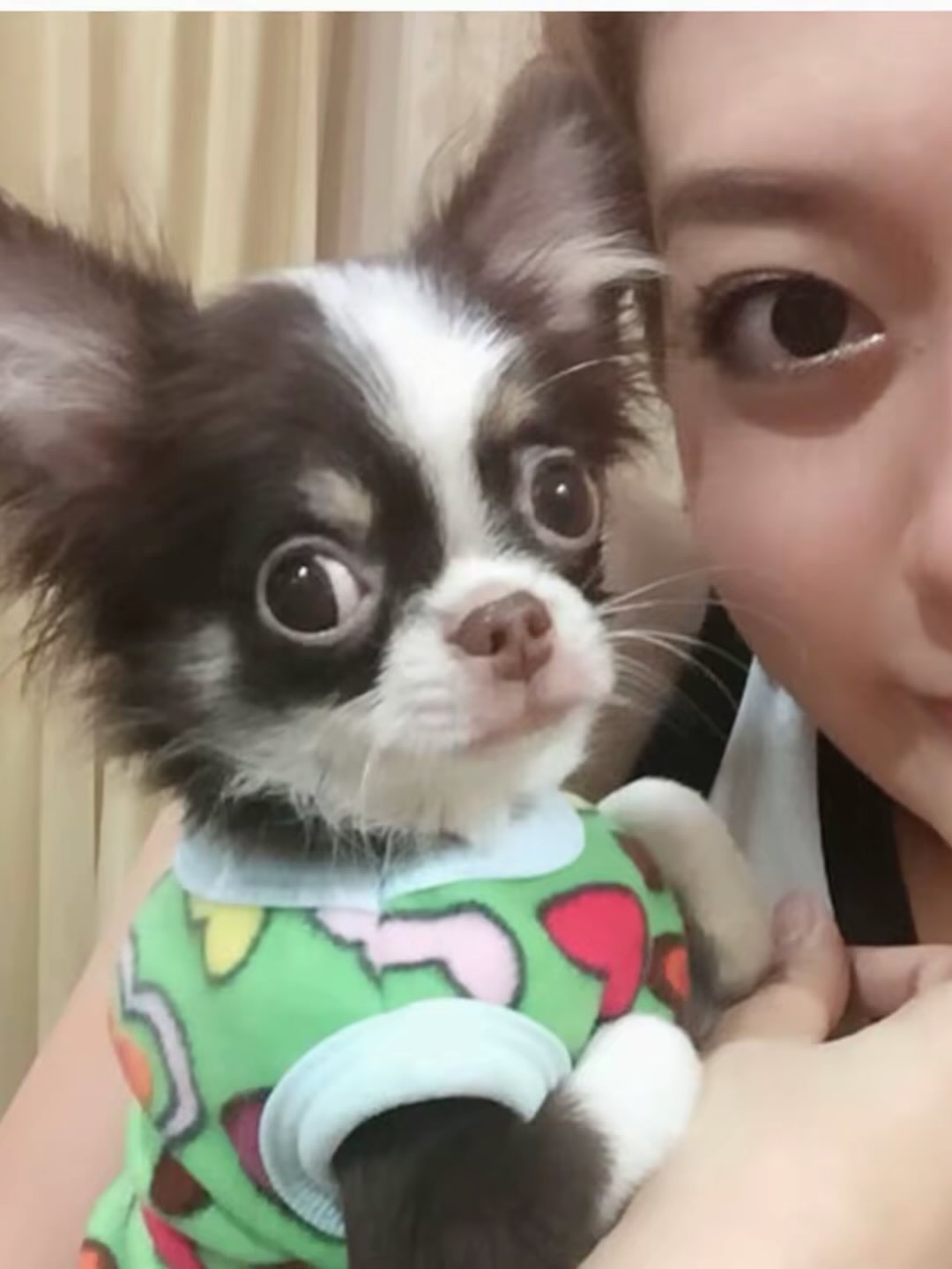 แก้มบุ๋ม - ปรียาดา สิทธาไชย