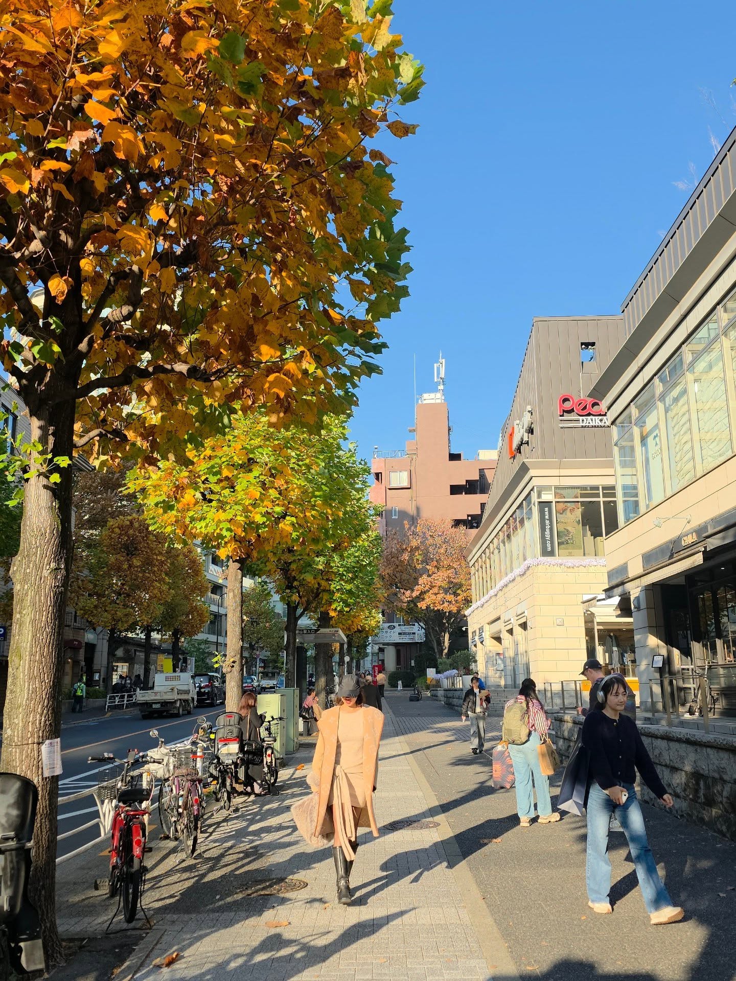 คริส หอวัง