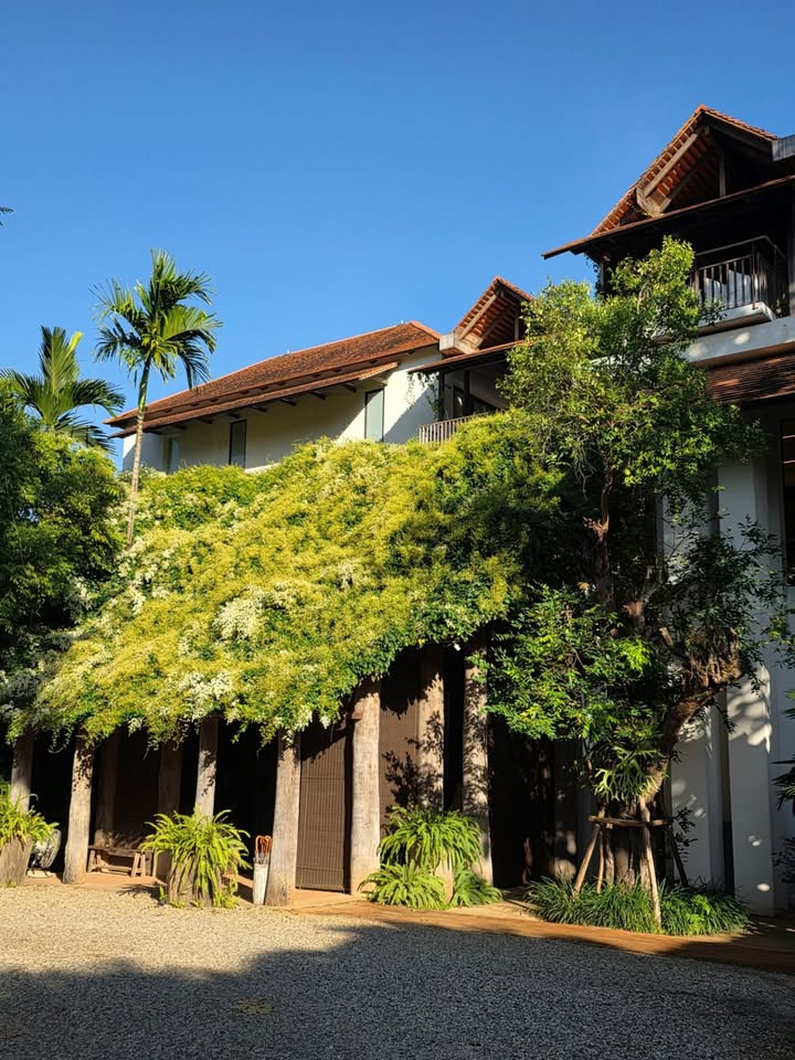 คริส หอวัง