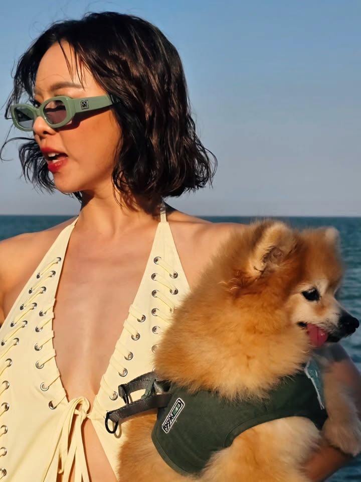 คริส หอวัง