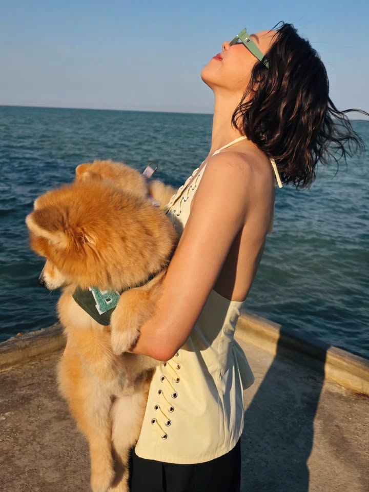 คริส หอวัง