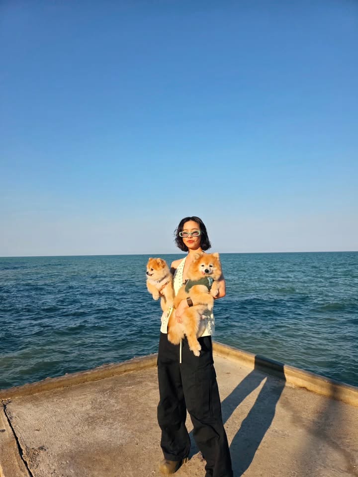 คริส หอวัง