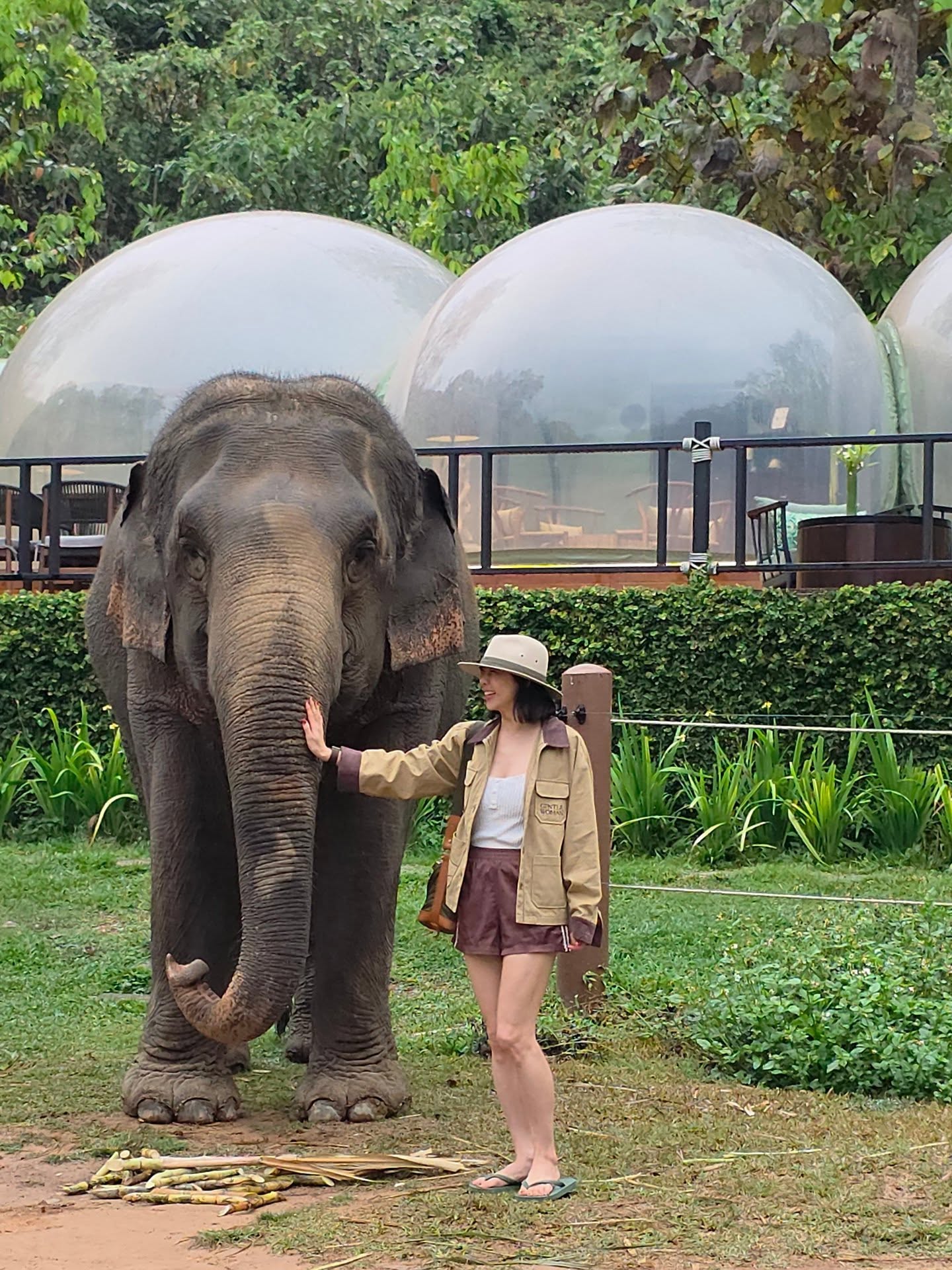 คริส หอวัง