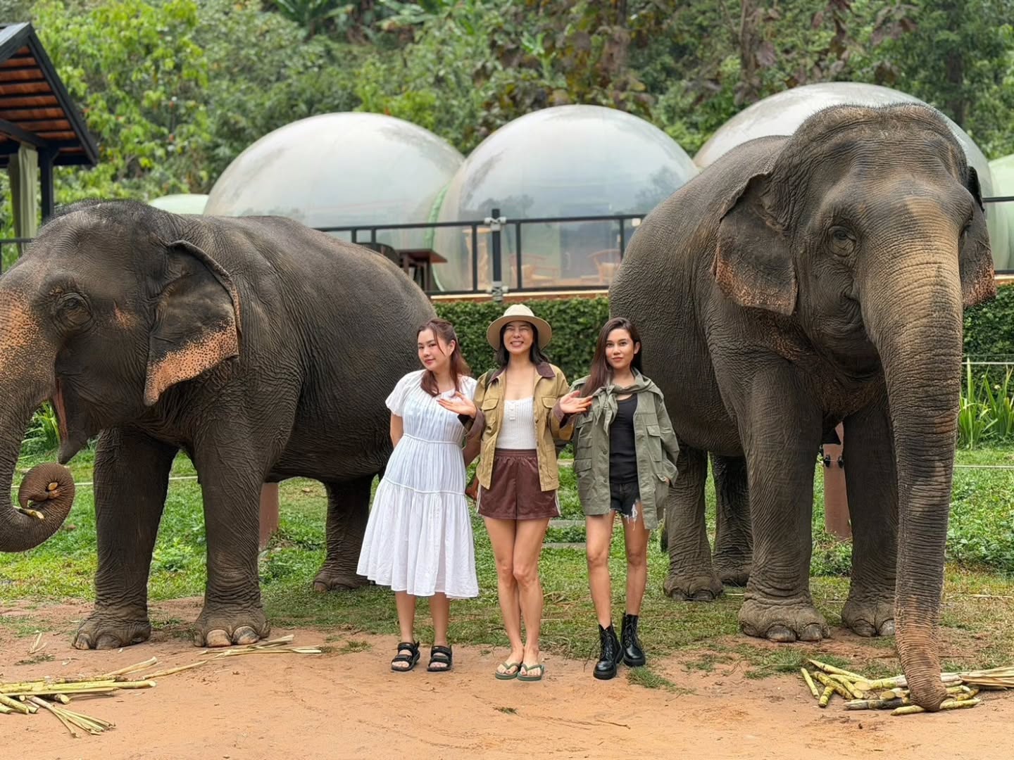 คริส หอวัง