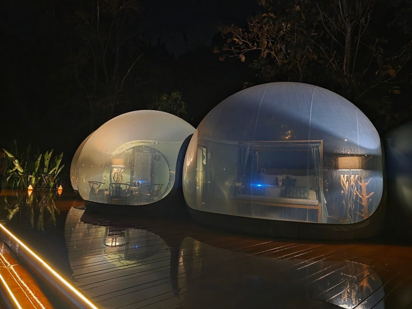 คริส หอวัง