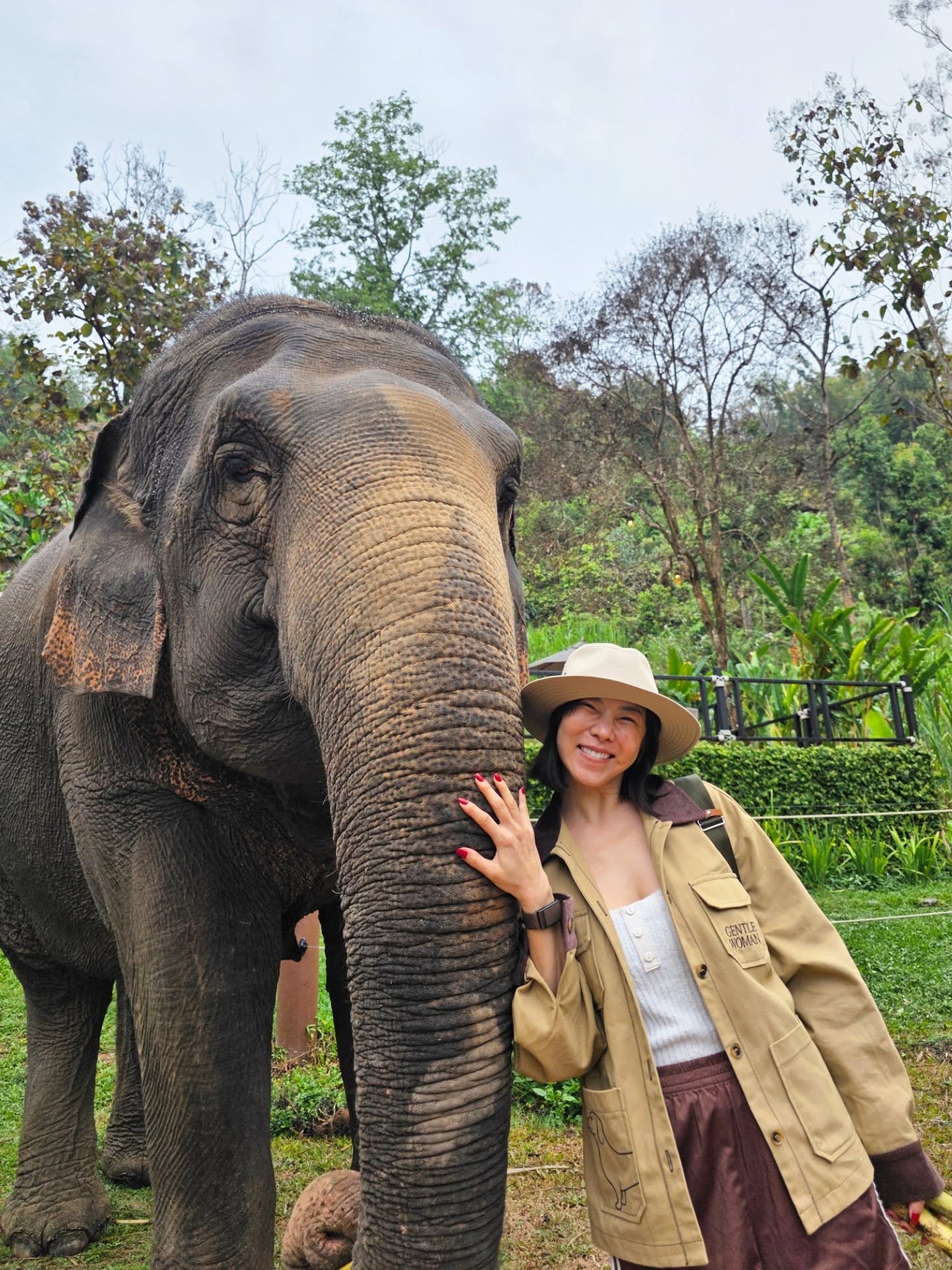 คริส หอวัง