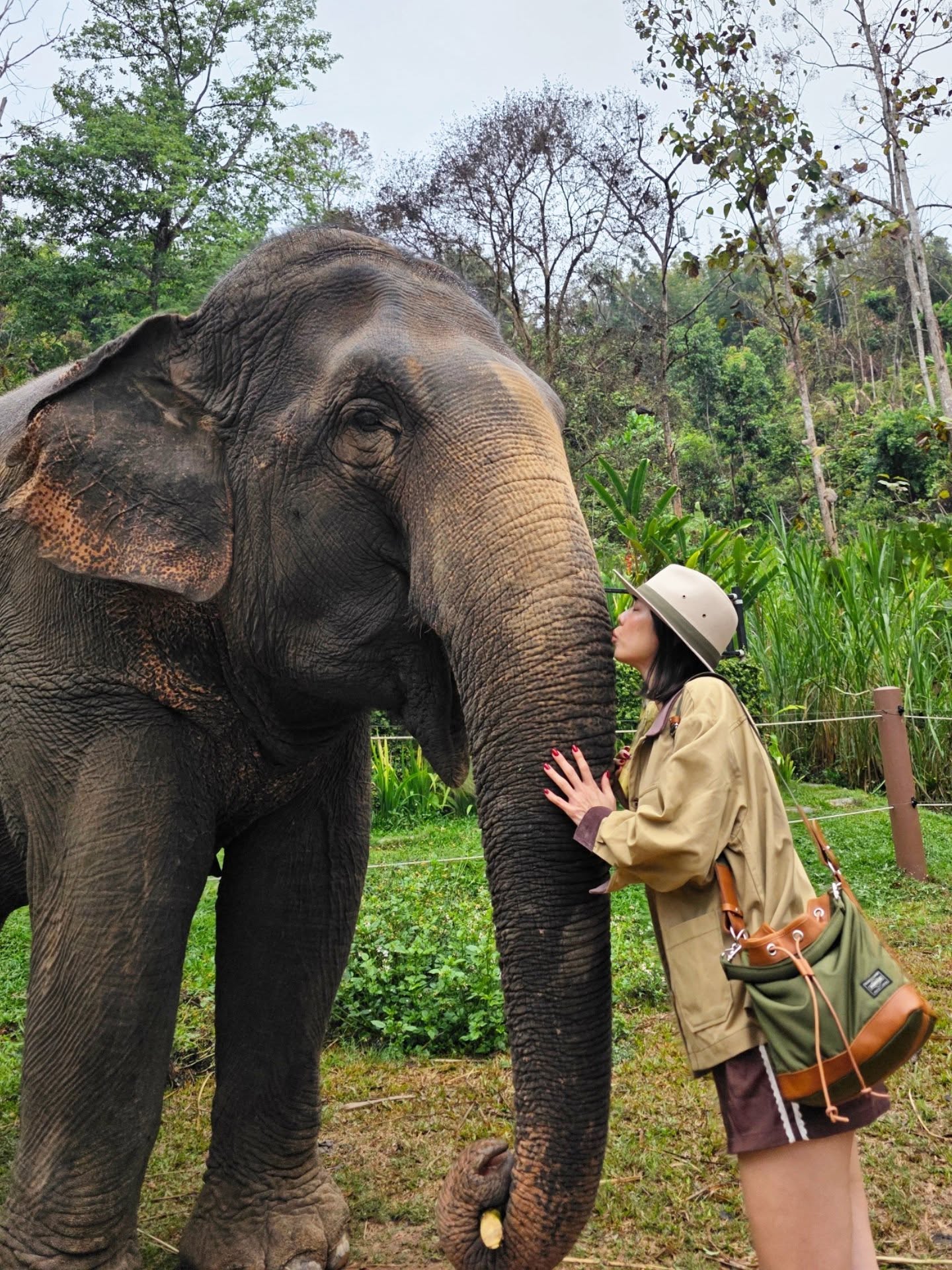 คริส หอวัง