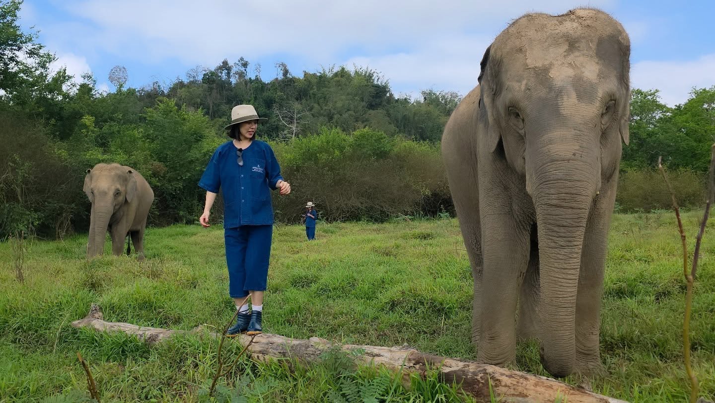 คริส หอวัง