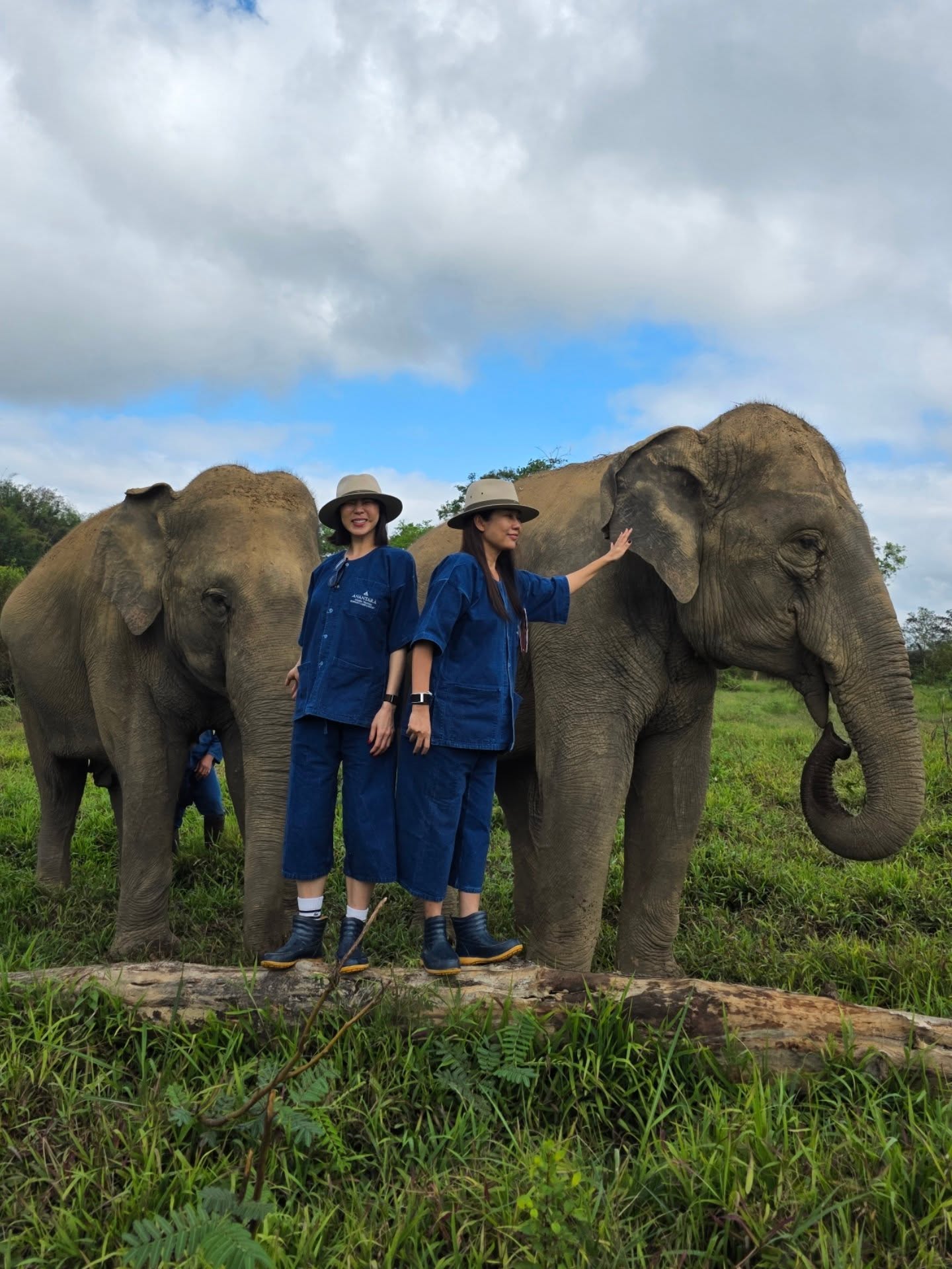 คริส หอวัง