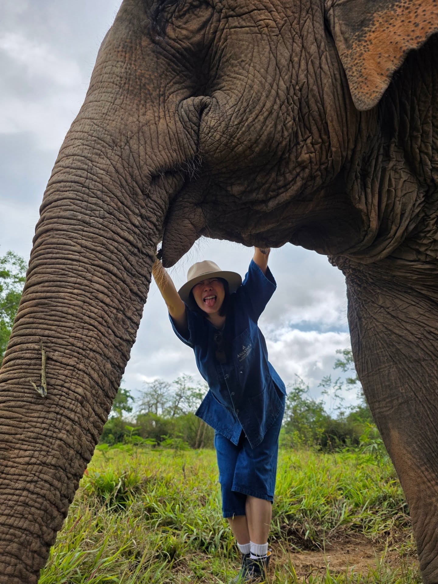 คริส หอวัง