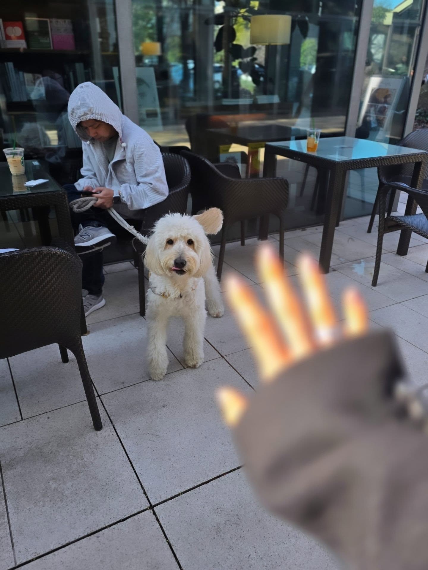 คริส หอวัง