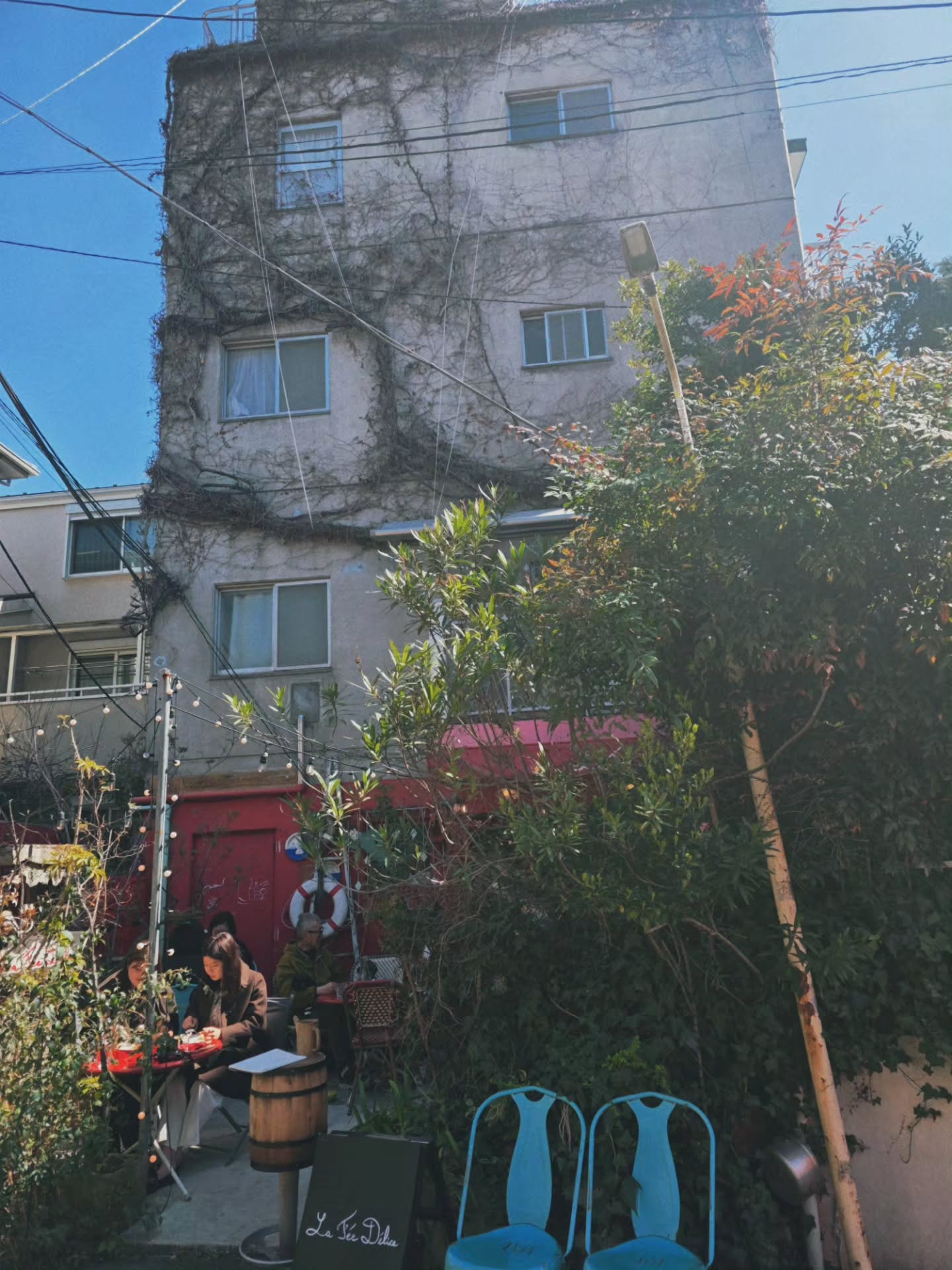 คริส หอวัง