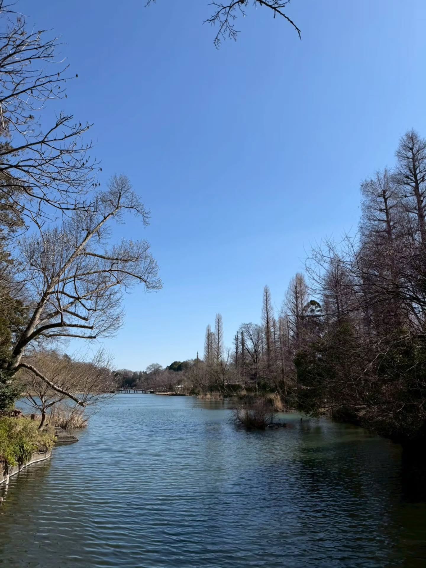 คริส หอวัง