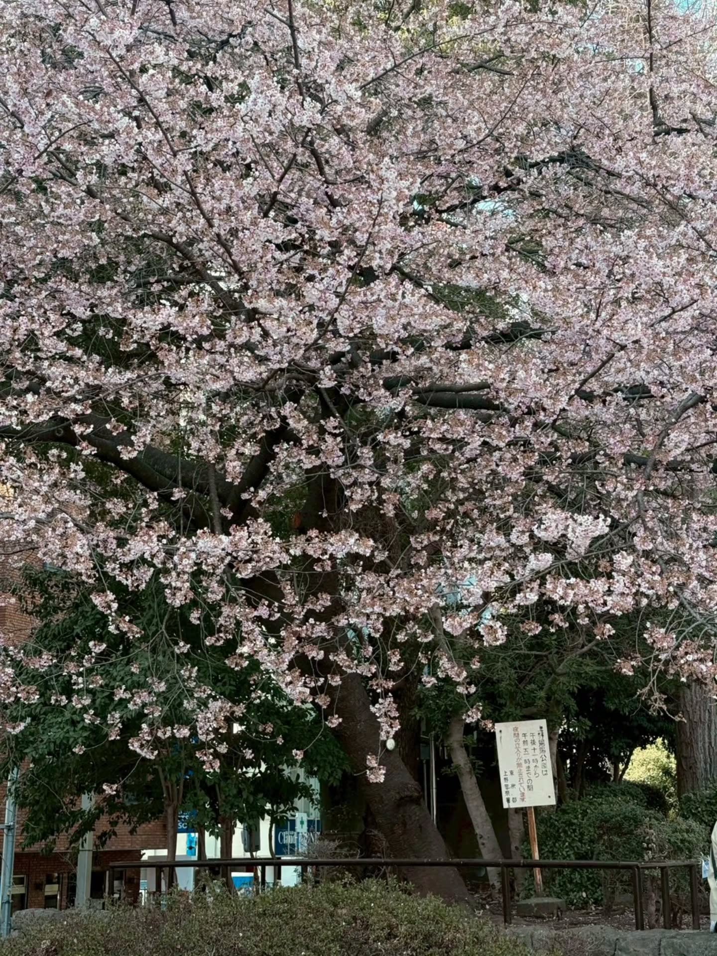 คริส หอวัง