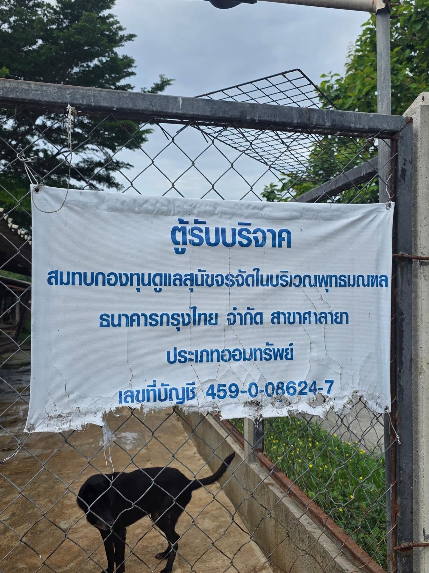 คริส หอวัง