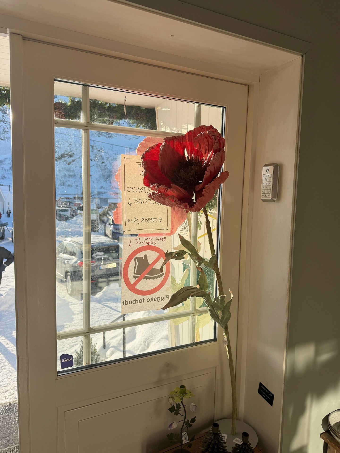 ปุยเมฆ - นภสร วีระยุทธวิไล