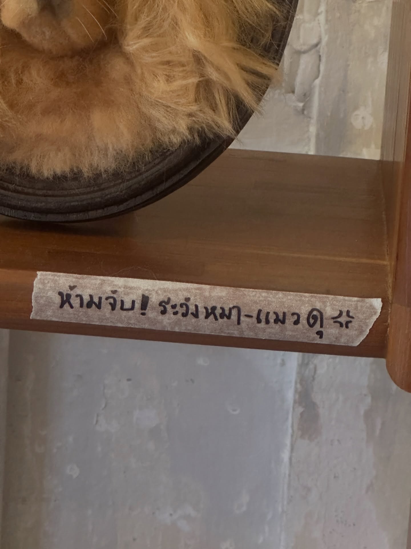 มิน - ธนกฤต ยิ่งวัฒนกุล