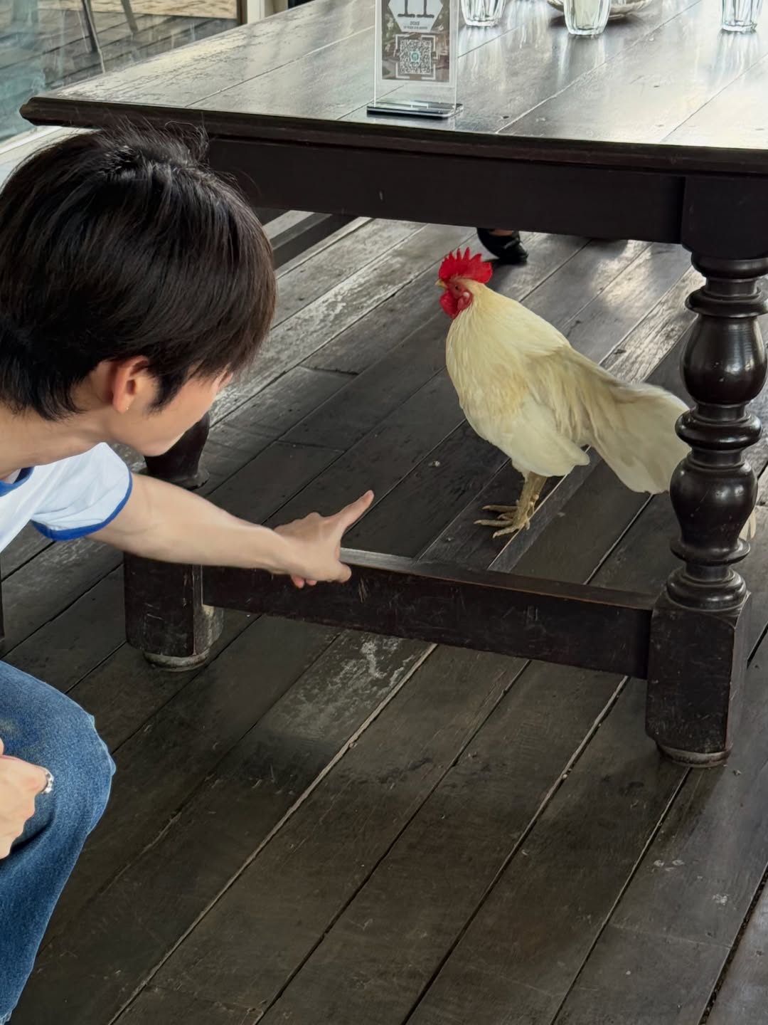 มิน - ธนกฤต ยิ่งวัฒนกุล