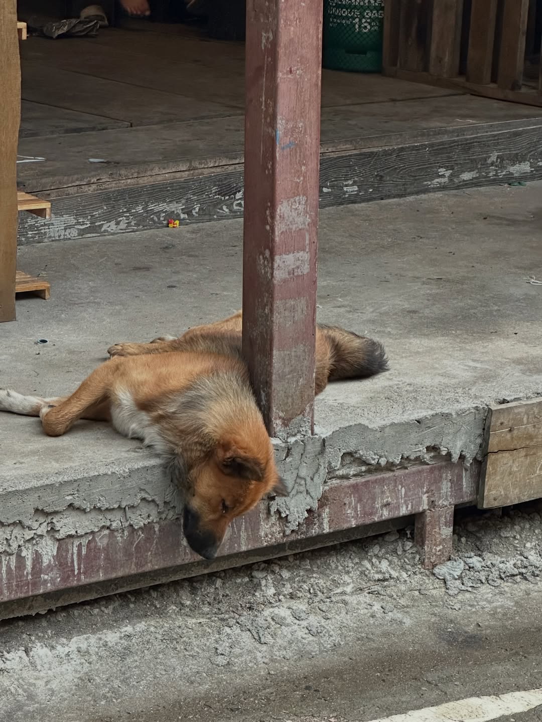 มิน - ธนกฤต ยิ่งวัฒนกุล