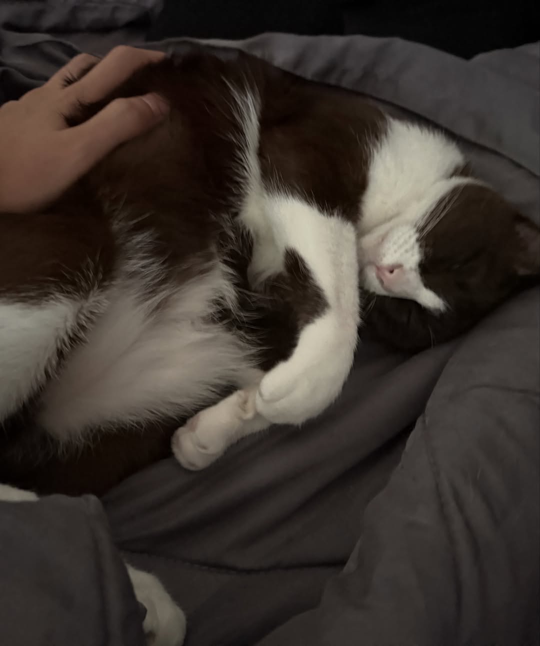 มิน - ธนกฤต ยิ่งวัฒนกุล