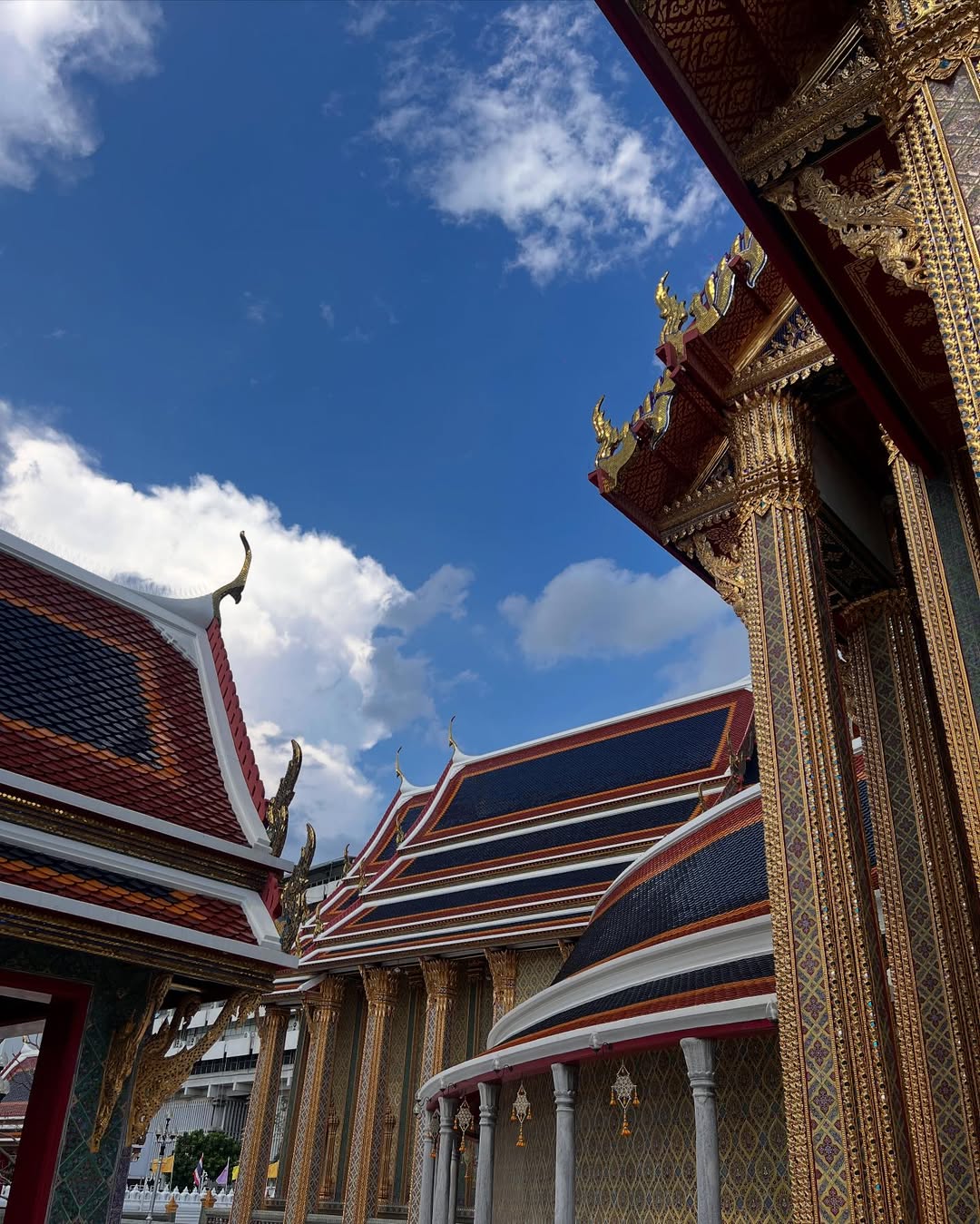 เฟิร์น - นพจิรา ฤกษ์ขจรนามกุล