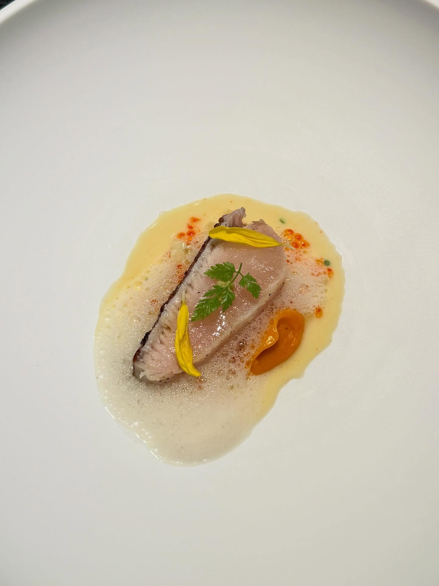 เฟิร์น - นพจิรา ฤกษ์ขจรนามกุล